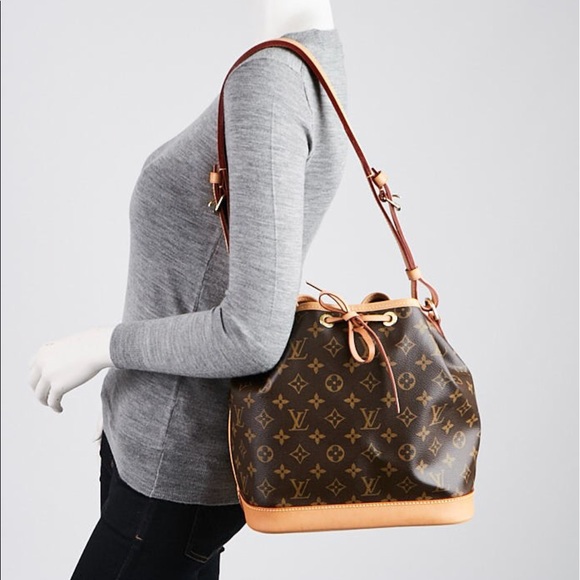 Louis Vuitton Petit Noe Size Chart Literacy Basics